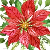 ​Christmas Flower Donation: Order today!